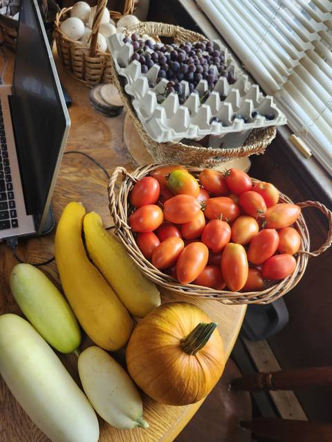 Summer harvest with tomatoes, squash and quail eggs